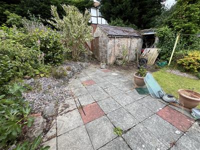 Picture 15